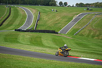 Lower Group Yellow Bikes